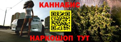 тгк Можга