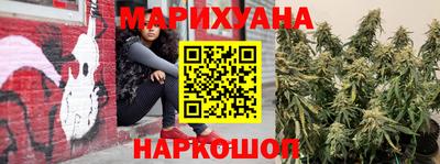 apvp Моздок
