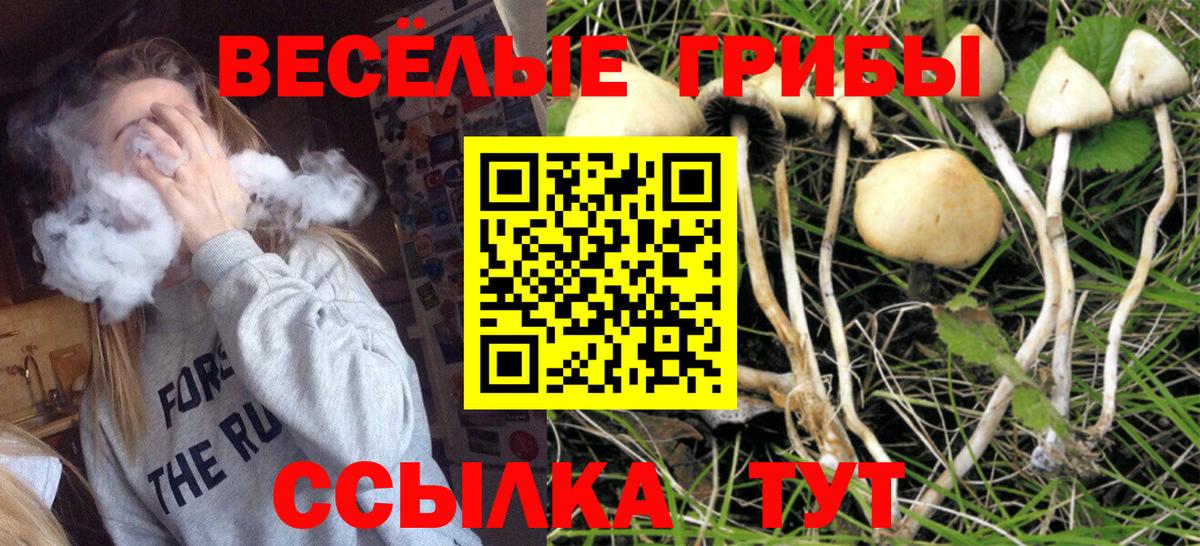 Псилоцибиновые грибы прущие грибы Орёл