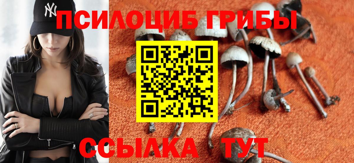 Орёл  Псилоцибиновые грибы Cubensis  Вход с VPN 