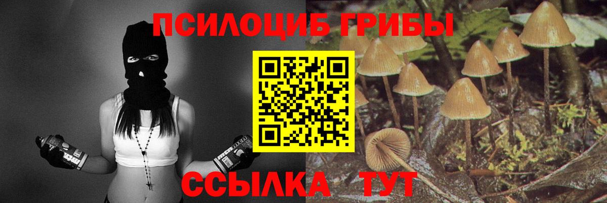 Галлюциногенные грибы мицелий Орёл